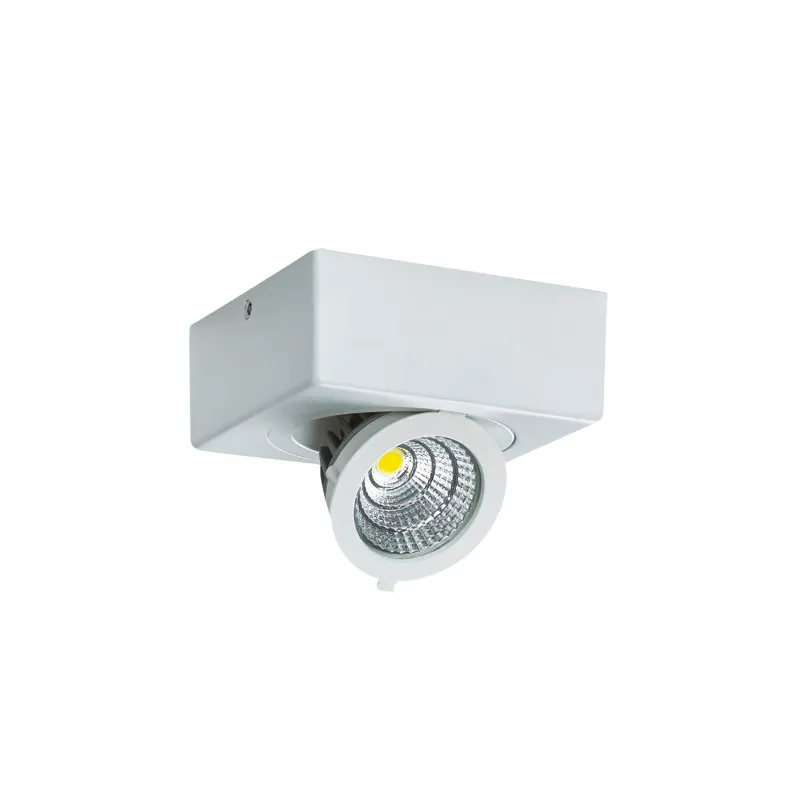 IGOR LED D 9W BLANC 4000K Plafonnier COB LED, inclus - Pas cher