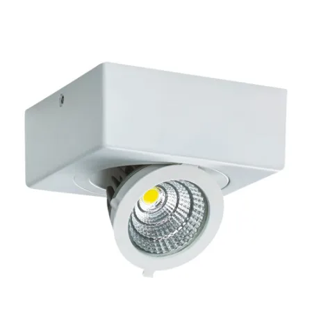 IGOR LED D 9W BLANC 4000K Plafonnier COB LED, inclus - Pas cher