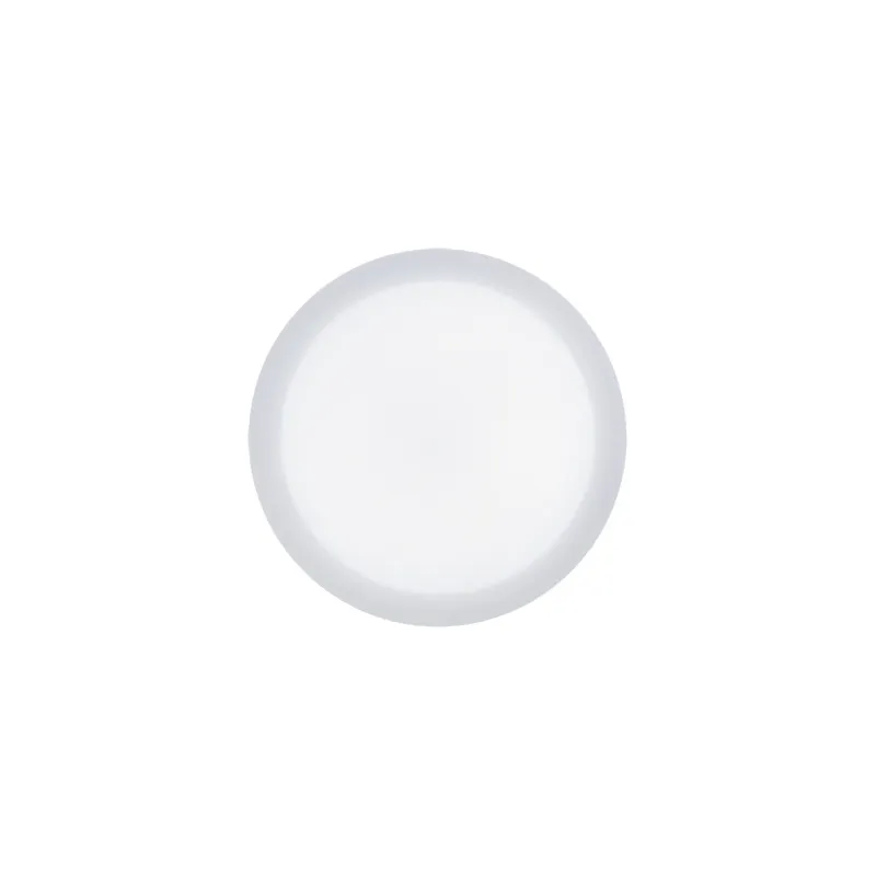 SOLEO LED 24W 4000K Plafonnier SMD LED SMD LED, inclus - Pas cher