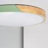 Plafonnier led 36w cct-50cm-3000k-4000k-6000k bois et métal vert