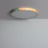 Plafonnier led 18w cct-30cm-3000k-4000k-6000k bois et métal vert