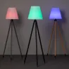 Lampadaire a poser rgbw solaire étanche extérieur rechargeable nomade lumineux