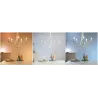 Lot de 2 Ampoules 5w e14 led rgb+cct variable Bluetooth wizmote wifi wiz Philips