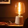 Ampoule 8w led filament culot e27 verre dorée 235mm