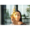 Ampoule LED